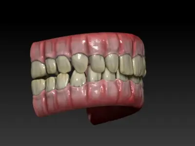Teeth human mouth with Low-poly 3D model