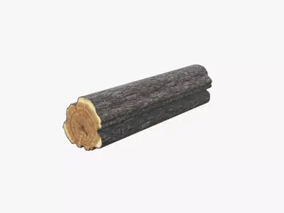 Medieval Log V02 Low-poly 3D model
