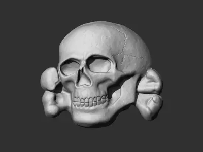 SS Totenkopf Skull 3D print model