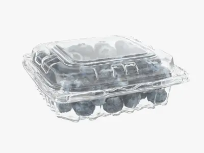 Blueberry Package 3D model