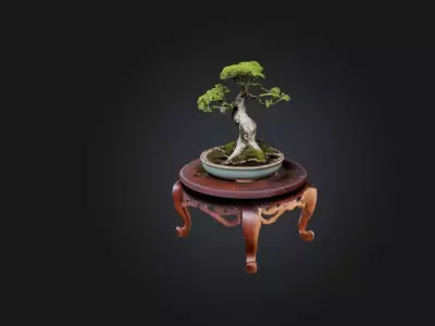 Unique Bonsai Tree Stand Low-poly 3D model
