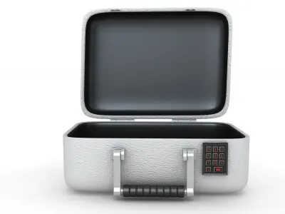 Rugged Security Case Nickel Platet 3D model