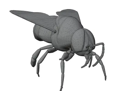 Animated bee Low-poly 3D model get