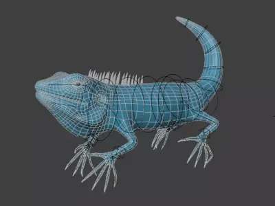Lizard Free 3D model