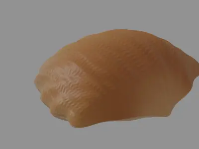 Oyster Clam 3D model