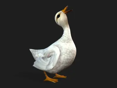 Duck A1 3D model