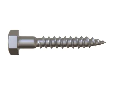 lag Bolts 3D Model 3D model