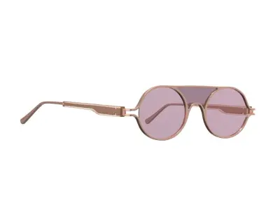 Pink Brow Sunglasses 3D model