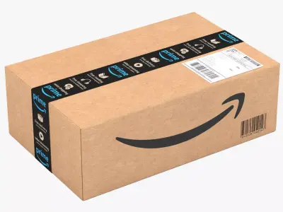 Cardboard Box Amazon 3D model