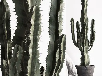 Bed Scandinavian 3D model