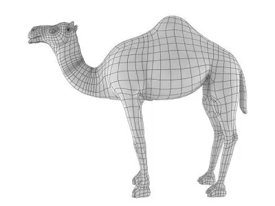 Camel Base Mesh Low-poly 3D model