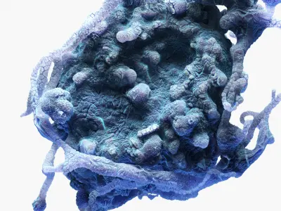 Cancer Cell Mutation 3D model