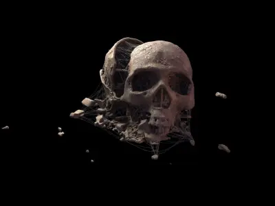 Broken Skull with Spider webs 4 3D model