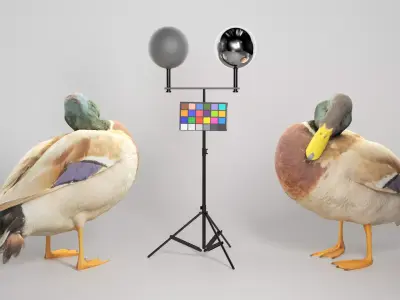 Duck 16 Low-poly 3D model