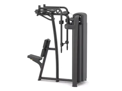 Technogym Selectorized Selection 700 Dual Pectoral Reverse Fly 3D model