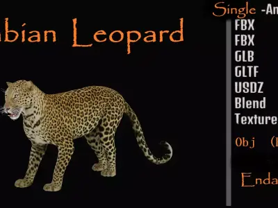 Arabian Leopard Free low-poly 3D model
