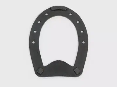 -Horseshoe V4- 3D model