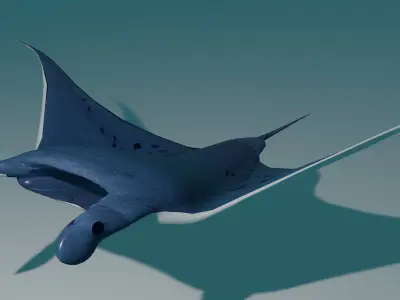 Manta Ray 3D model
