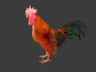 Chicken Rigged 3D model 3D model