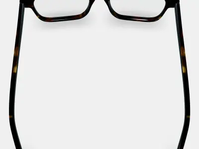 Crane Eyeglasses in Whiskey Tortoise Low-poly 3D model