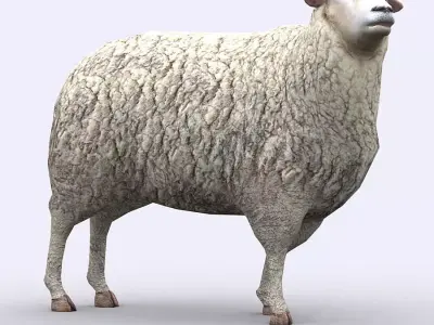 3DRT - Sheep Low-poly 3D model