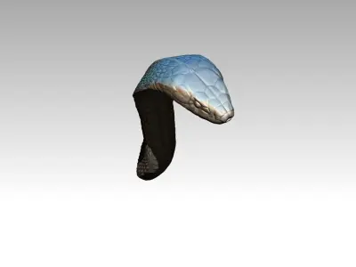 Cobra Snake Head part 3D print model