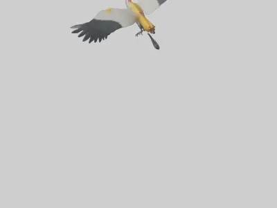 Crane flying model 3D model