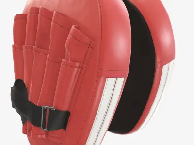 Punch mitts 3D model