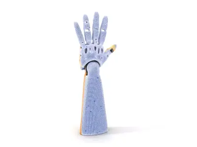 Advanced Robotic Hand and Arm Model Pack Low-poly 3D model
