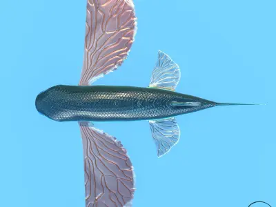 Atlantic flying fish Low-poly 3D model