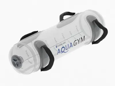 Aqua Bag 3D model
