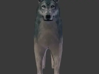 Rigged Textured Wolf Game Ready Free low-poly 3D model
