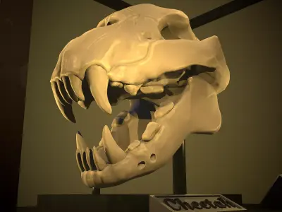 Stylized Cheetah Skull Low-poly 3D model