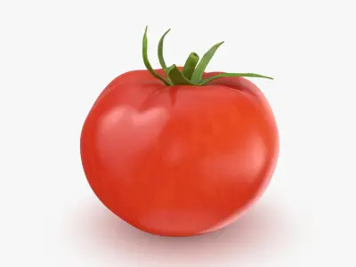  Tomato Collection 