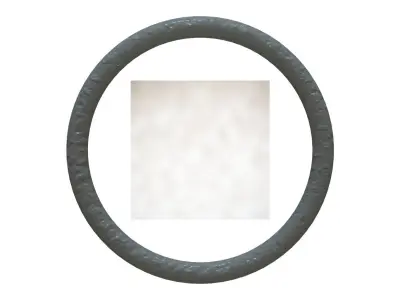 O Ring Vedabras 13016 3D model