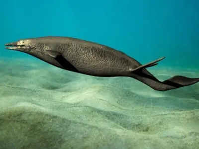 shastasaurus dolphin swimming in ocean 3D model