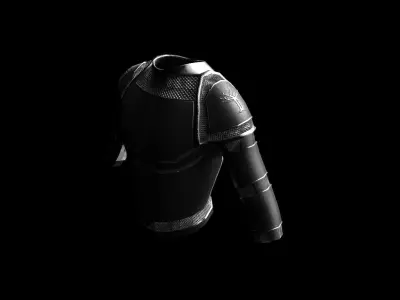 Platebody Low-poly 3D model