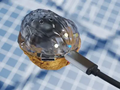 Walnut Speaker Design 3D model