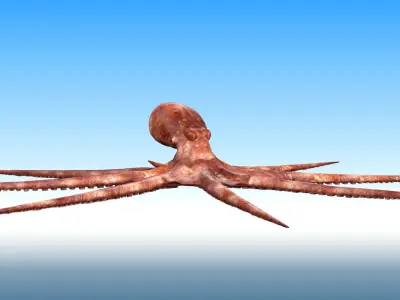 Octopus Rigged 3D model purchase
