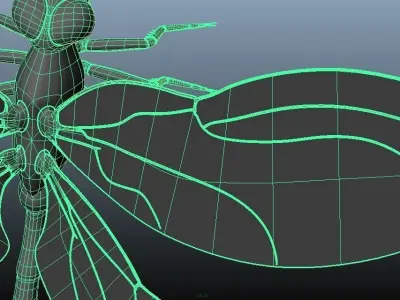 Dragonfly model - no rigging - no texture 3D model