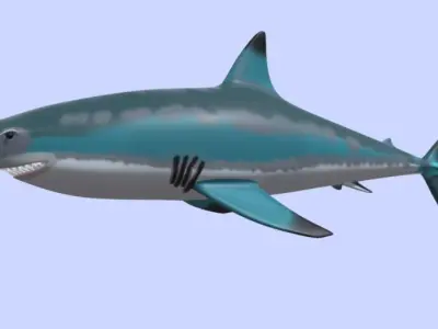 shark paint Free 3D model
