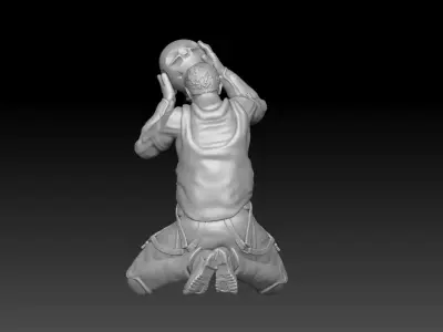 air force pilot military 3 3D print model