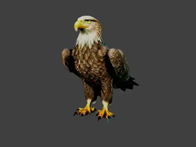 Eagle Low-poly 3D model buy