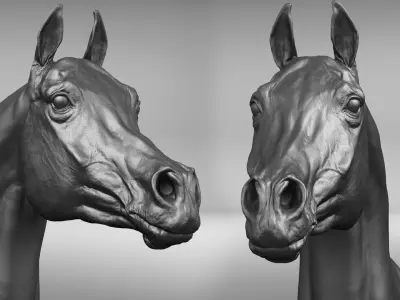  project Arabian horse 
