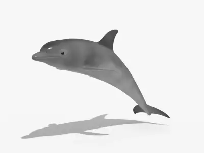 Dolphin sea ocean animal 3d model Low-poly 3D model