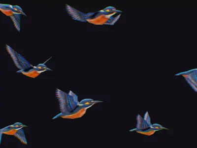 Kingfisher Flock Animated Bird Swarm Hummingbird Shoal Birds Low-poly 3D model purchase