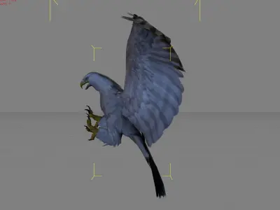 Eagle animal Low-poly 3D model