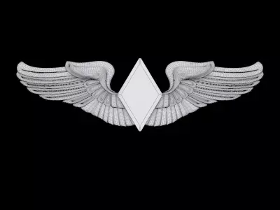 Women Airforce Service Pilot Wings Badge 3D print model