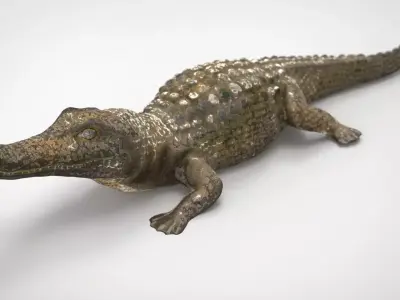 CAIMAN alligator Low-poly 3D model