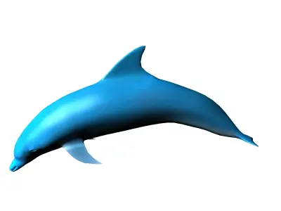 dolphin lowpoly 3D model buy